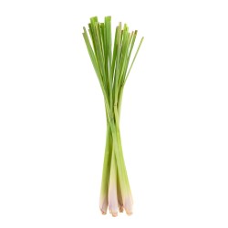 Citrinžolės eterinis aliejus 10 ml